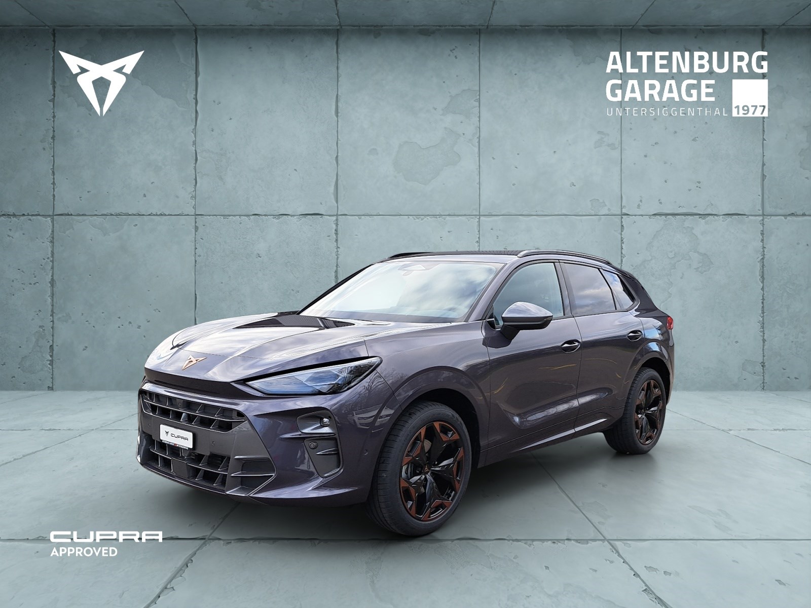 [Titel] - Altenburg-Garage AG - Cupra, Mitsubishi, Seat, Suzuki, VW Service im Aargau 204